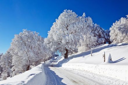 Foto: Winterlandschaft