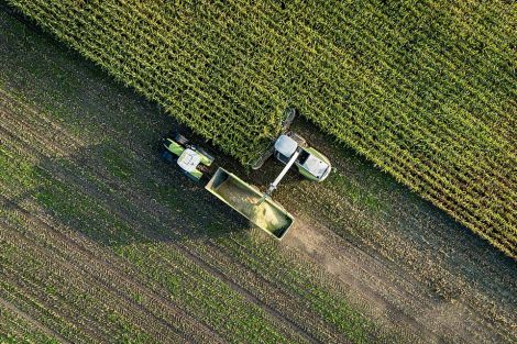 Foto: Körperschaftsteuerbefreiungen für Landwirtschaftsgenossenschaften und Vereine