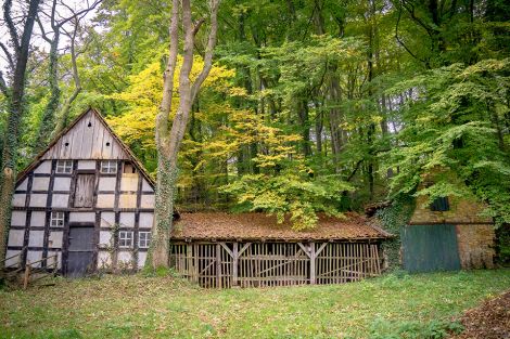 Foto: Grundsteuer-Härtefälle und Grundsteuererlass