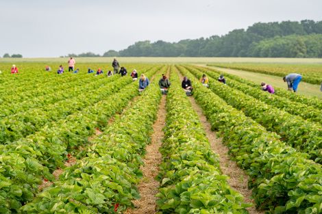Foto: Tipp: Kurzfristige Beschäftigung