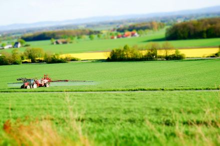 Foto: Traktor auf Feld