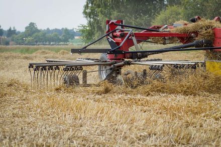 Foto: Pflug auf Feld